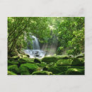 Suche nach tropischer wasserfall postkarten Regenwald