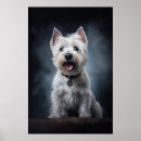 Suche nach westi poster Welpe