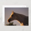 Suche nach backlit poster Kopfschuss