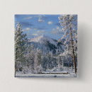 Suche nach yellowstone buttons Usa