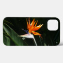 Suche nach paradiesvogel iphone hüllen Natur
