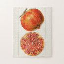 Suche nach granatapfel puzzle Vintag