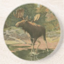 Suche nach jagd untersetzer Natur