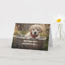 Suche nach gelber labrador karten Niedlich