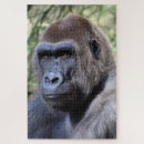 Suche nach gorilla puzzle Tiere