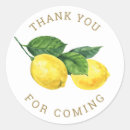 Suche nach zitrusfrüchte aufkleber Für sie