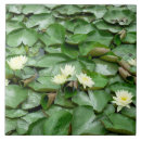 Suche nach lilien fliesen Lotus