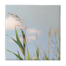 Suche nach grünes gras fliesen Wiese