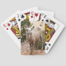 Suche nach sheep spielkarten Bighornschaf