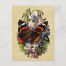 Suche nach wilde rosen postkarten Schmetterling
