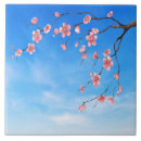 Suche nach rosa himmel fliesen Blau