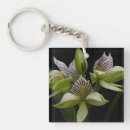 Suche nach blumenbilder schlüsselanhänger Orchideen