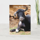 Suche nach niedliche ziege karten Tiere