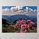 Suche nach berchtesgaden poster Deutschland