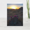 Suche nach joshua tree karten Sonnenuntergang