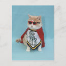 Suche nach lustige katzen postkarten Kitty