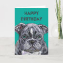 Suche nach haustier karten Dogs