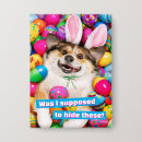 Suche nach osterhase accessoires Hund