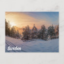Suche nach schneebedeckte bäume postkarten Winter