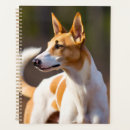 Suche nach ibiza Hund