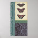 Suche nach brokat poster Schmetterling