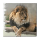 Suche nach löwen fliesen Wild lebende tiere