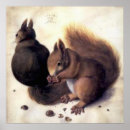 Suche nach das nagetier poster Eichhörnchen