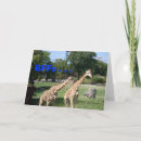 Suche nach bff karten Friends