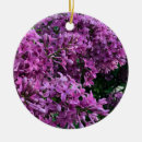 Suche nach flieder ornamente Lavendel