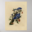 Suche nach beobachtend poster Natur