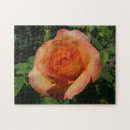 Suche nach peach puzzle Blumenreich