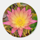 Suche nach flower magnete Blossom