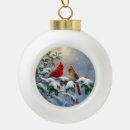 Suche nach roter kardinal ornamente Winter