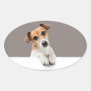 Suche nach jack russells aufkleber Welpe