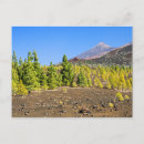 Suche nach teide postkarten Landschaft