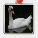 Suche nach weißer schwan ornamente Tiere