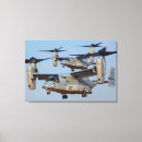 Suche nach mv 22b Eitelkeit