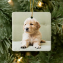 Suche nach couch ornamente Haustier