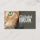 Suche nach tigerkatze Katzen