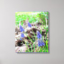 Suche nach geliehen poster Blume