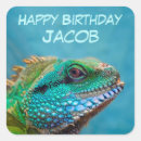 Suche nach leguane aufkleber Reptil