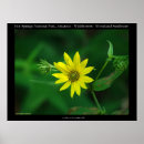 Suche nach waldland poster Wildblumen