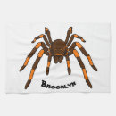 Suche nach spinne geschirr tücher Arachnid