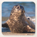 Suche nach franken untersetzer Kalifornien