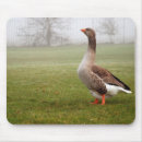 Suche nach gans mousepads Tier