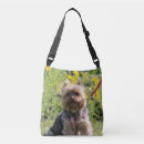 Suche nach liebling taschen Haustier