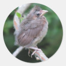 Suche nach babyaufkleber Natur
