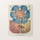 Suche nach riff puzzle Anemone