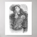 Suche nach owl poster Vogelvogel