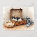 Suche nach schwarz weiße katze postkarten Generativer inhalt